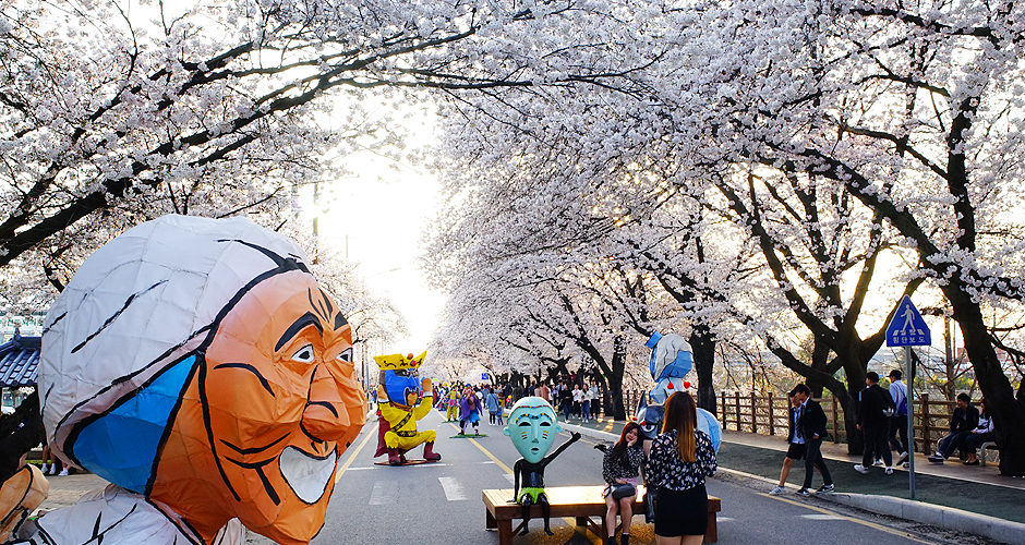 安東桜祭り