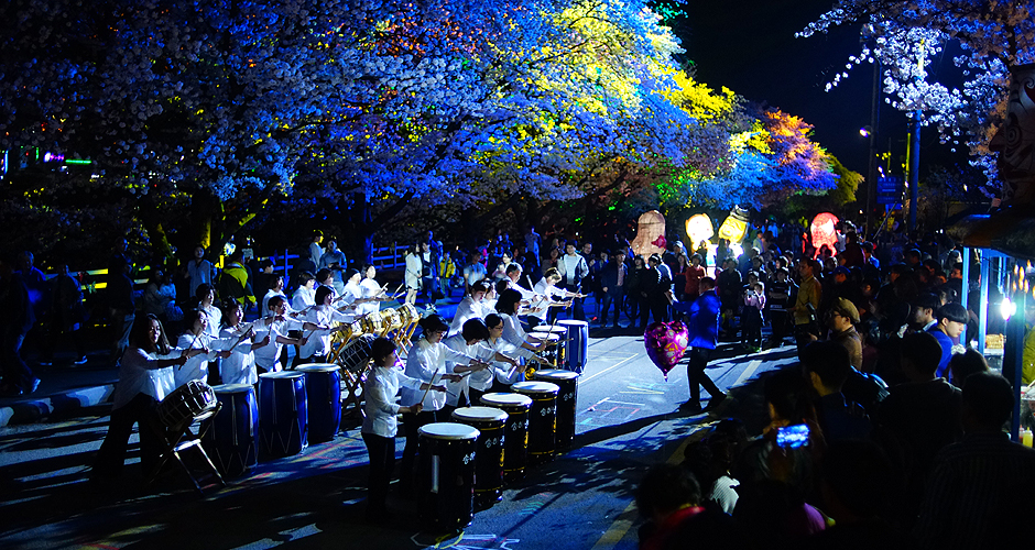 안동벚꽃축제 사진