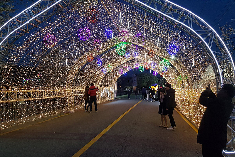 安東桜祭り