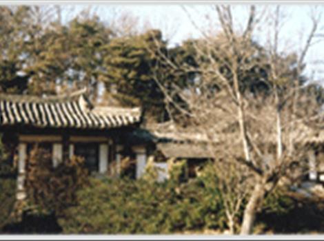 광산김씨 유일재 고택