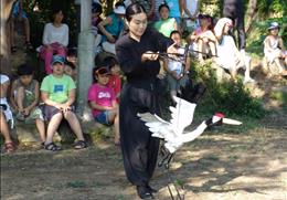 한국인형극제 기타사진