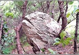 와룡산 기타사진