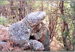 와룡산 기타사진