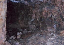 와룡산 기타사진