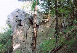 와룡산 기타사진