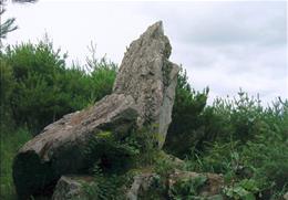 와룡산 기타사진