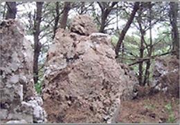 와룡산 기타사진