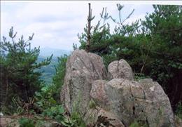 와룡산 기타사진