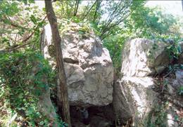 와룡산 기타사진