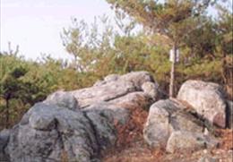 와룡산 기타사진