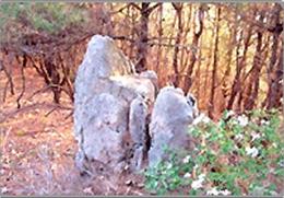 와룡산 기타사진