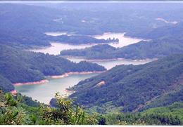 와룡산 기타사진