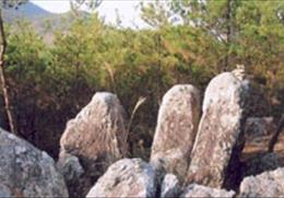 와룡산 기타사진