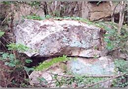 와룡산 기타사진