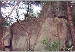 와룡산 기타사진