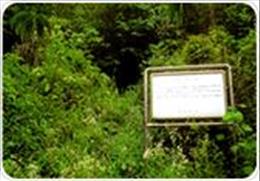 안동 미림동굴 기타사진