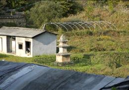 봉림정사 기타사진