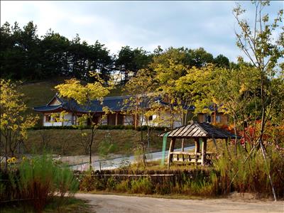 안동호반자연휴양림