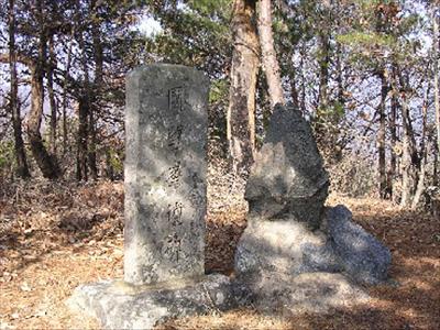 국망봉(용두산)