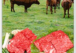 안동한우 기타사진