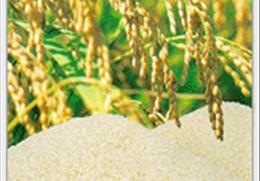 안동쌀 기타사진