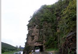 안동 구리의 측백나무 자생지 기타사진