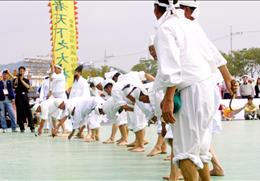 안동 저전동 농요 기타사진