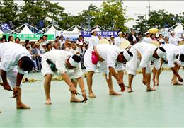 안동 저전동 농요 기타사진