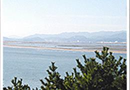 낙동강 기타사진