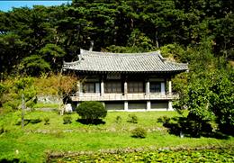 모하정 기타사진