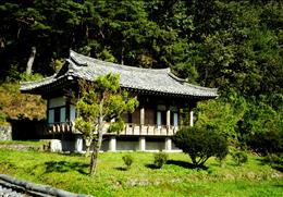 모하정 기타사진