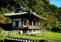 모하정 기타사진