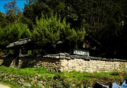 세복당 기타사진