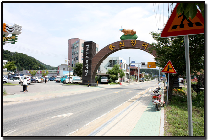 안동 한우