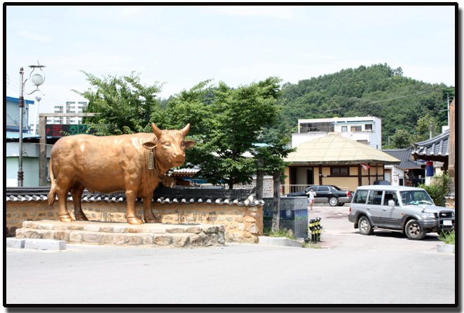 안동 한우 첨부사진