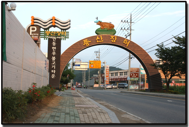 안동 한우