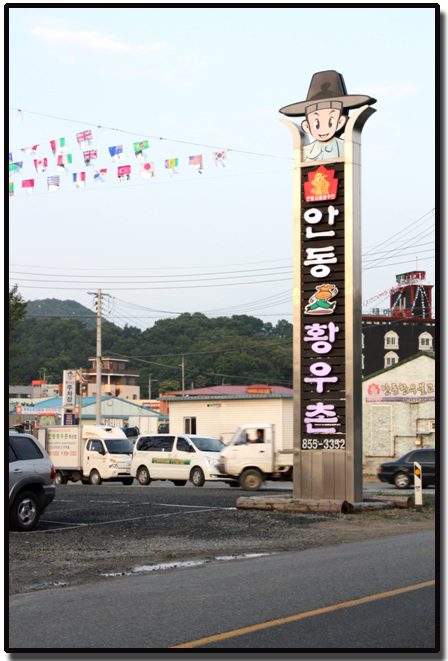 안동 한우
