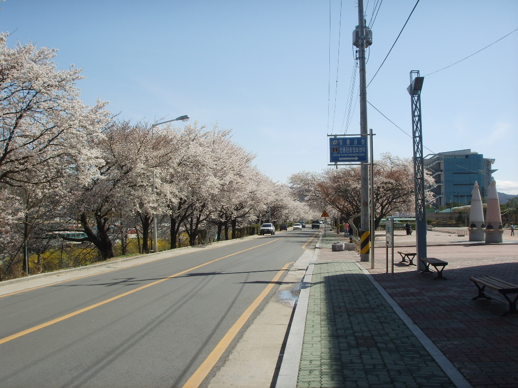 4월 12일 낙동강변 모습입니다.