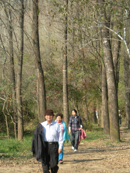 퇴계오소길