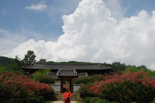 병산서원의 여름 첨부사진