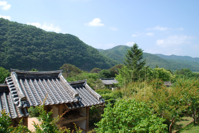 병산서원의 여름