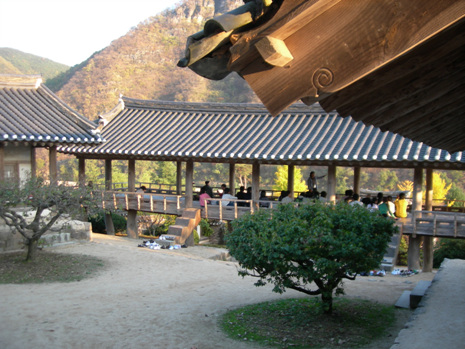 체험마을-하회 물도리동