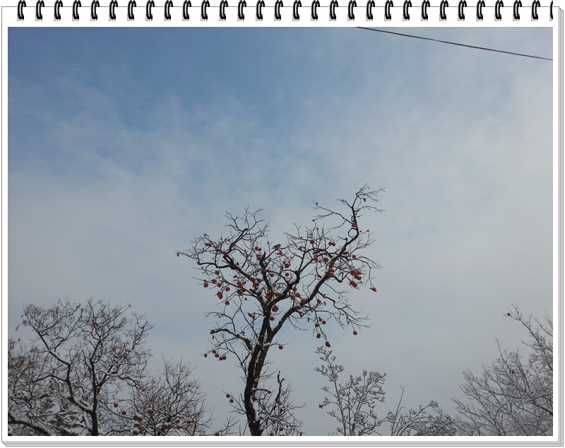 2013년 새해 첫날 설경