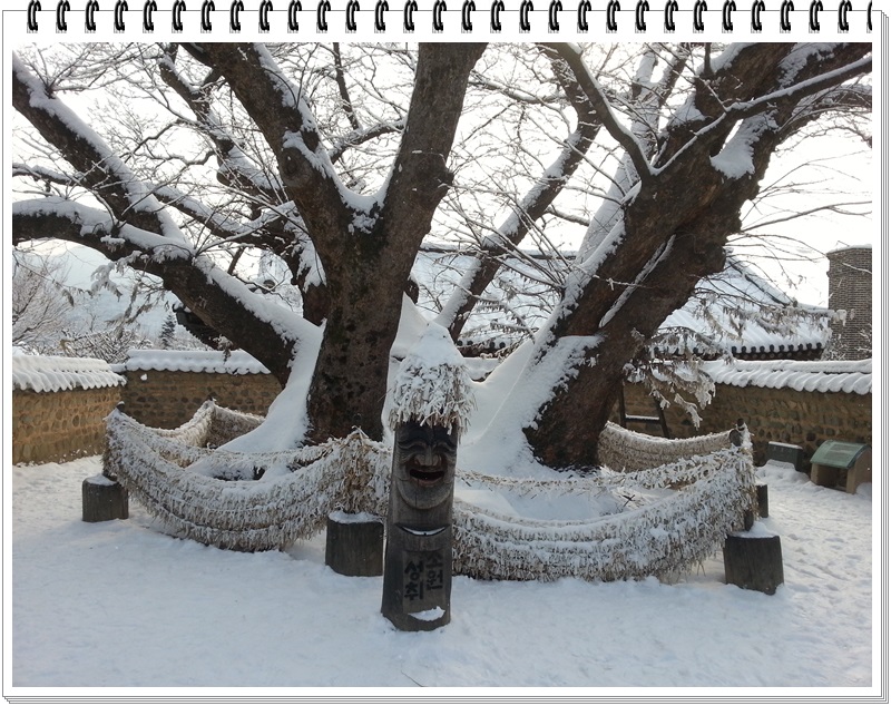 2013년 새해 첫날 설경