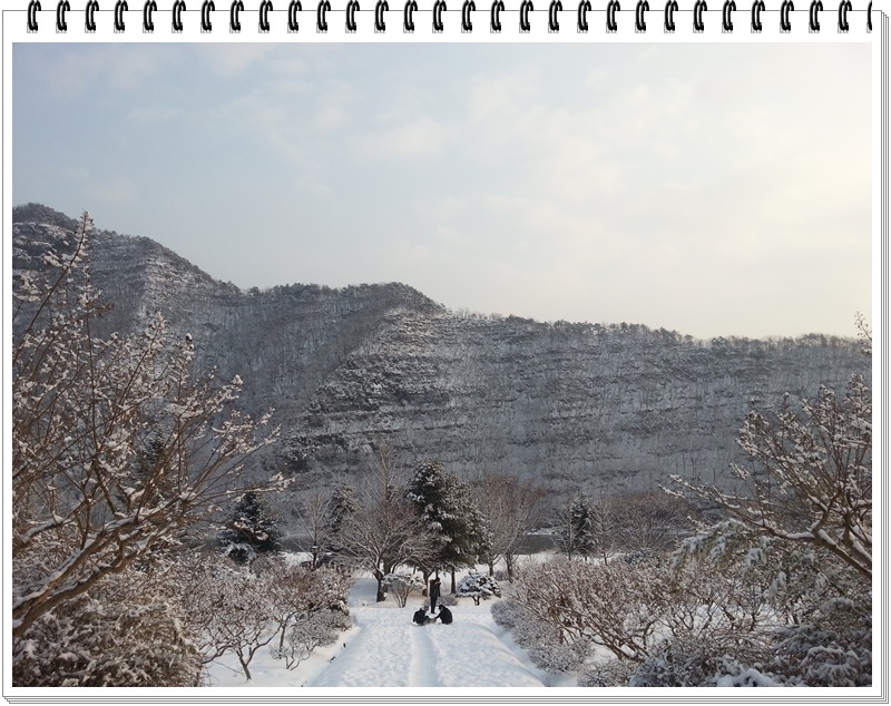 2013년 새해 첫날 설경