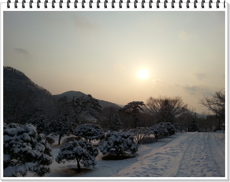 2013년 새해 첫날 설경
