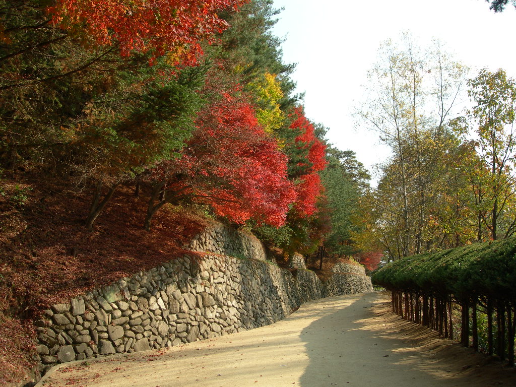 가을이 깊은 도산서원 풍경