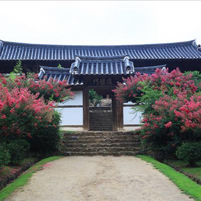 병산서원과 백일홍. 첫번째 사진