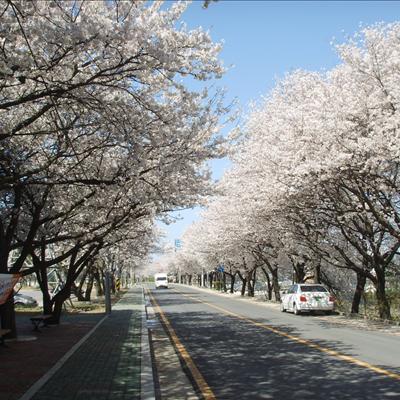 4월 12일 낙동강변 모습입니다. 첫번째 사진