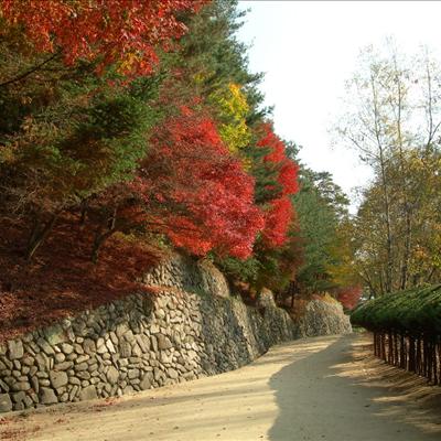 가을이 깊은 도산서원 풍경 첫번째 사진
